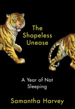 The Shapeless Unease: A Year of Not Sleeping