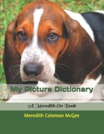 My Picture Dictionary