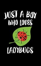 Just A Boy Who Loves Ladybugs: Animal Nature Collection