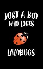 Just A Boy Who Loves Ladybugs: Animal Nature Collection