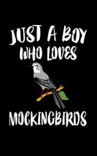 Just A Boy Who Loves Mockingbirds: Animal Nature Collection