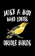 Just A Boy Who Loves Oriole Birds: Animal Nature Collection