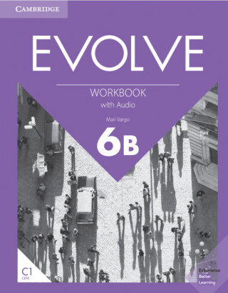 Evolve Level 6B Workbook with Audio