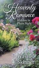 Heavenly Romance
