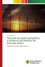 Técnicas de ajuste geográfico e dinâmico de Modelos de previs?o eólica