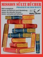 Mission Sultz Bucher - Projekte Querschnitt
