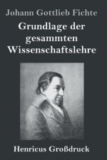 Grundlage der gesammten Wissenschaftslehre (Grossdruck)