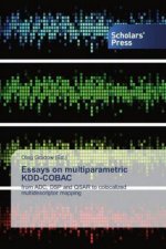 Essays on multiparametric KDD-COBAC