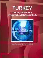 Turkey Internet, E-commerce Investment and Business Guide: Regulations and Opportunities