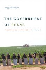 Government of Beans