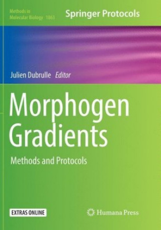 Morphogen Gradients
