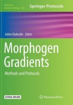 Morphogen Gradients