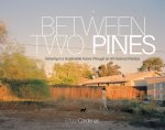 Between Two Pines: Ushering in a Sustainable Future Through an Art-Science Practice