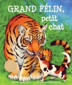 Grand Félin, Petit Chat: (big Cat, Little Kitty in French)