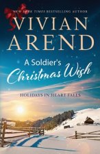 Soldier's Christmas Wish
