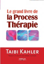 grand livre de la process therapie