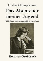 Das Abenteuer meiner Jugend (Grossdruck)