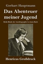 Das Abenteuer meiner Jugend (Grossdruck)