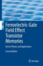 Ferroelectric-Gate Field Effect Transistor Memories