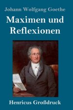Maximen und Reflexionen (Grossdruck)