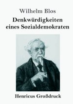 Denkwurdigkeiten eines Sozialdemokraten (Grossdruck)