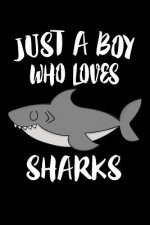 Just A Boy Who Loves Sharks: Animal Nature Collection