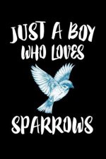 Just A Boy Who Loves Sparrows: Animal Nature Collection