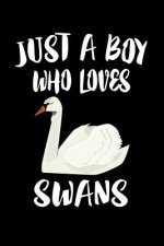 Just A Boy Who Loves Swans: Animal Nature Collection