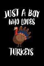 Just A Boy Who Loves Turkeys: Animal Nature Collection
