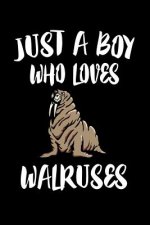 Just A Boy Who Loves Walruses: Animal Nature Collection