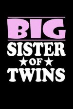 Big Sister Of Twins: Family Collection