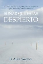 SOÑAR QUE ESTAS DESPIERTO