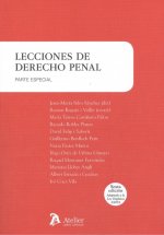 LECCIONES DE DERECHO PENAL (6ªEDICION)