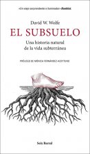 El subsuelo