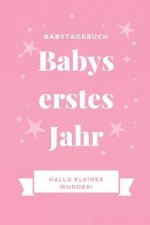 Babytagebuch Babys Erstes Jahr Hallo Kleines Wunder: A5 52 Wochen Kalender als Geschenk zur Geburt für Mädchen - Geschenkidee für werdene Mütter zur S