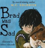 Brad was Sad