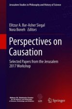 Perspectives on Causation
