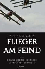 Flieger am Feind