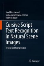 Cursive Script Text Recognition in Natural Scene Images