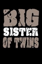 Big Sister Of Twins: Family Collection