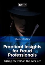 Practical insights for fraud professionals