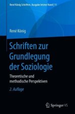 Schriften Zur Grundlegung Der Soziologie