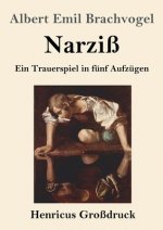 Narziss (Grossdruck)