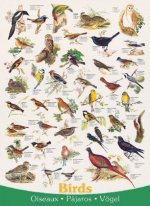 Vögel (Puzzle)
