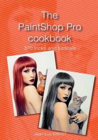 PaintShop Pro cookbook