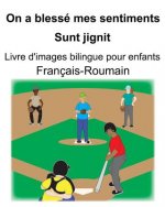 Français-Roumain On a blessé mes sentiments/Sunt jignit Livre d'images bilingue pour enfants
