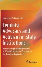 Feminist Advocacy and Activism in State Institutions