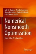 Numerical Nonsmooth Optimization