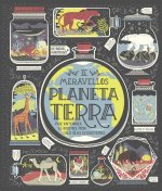 EL MARAVELLÓS PLANETA TERRA