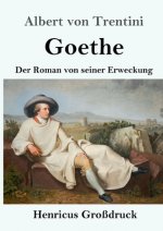Goethe (Grossdruck)